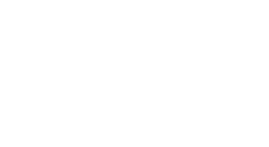 Audi Logo