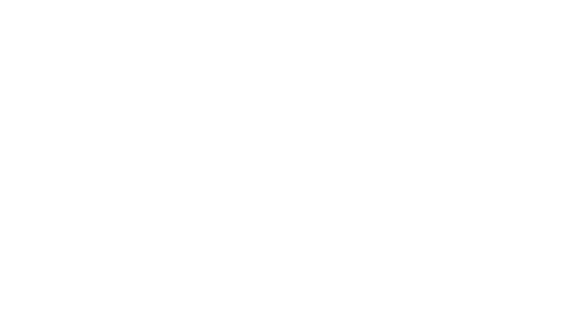Royal Enfield logo