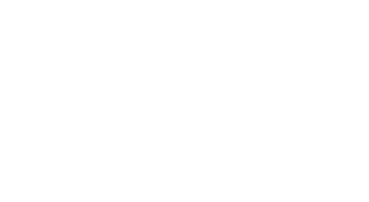 Visa logo